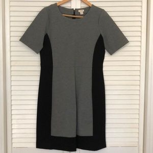 NWOT J. Crew Dress